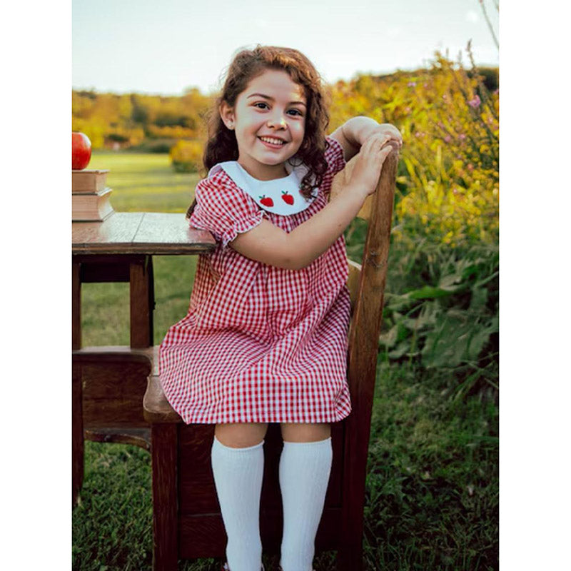 CJ Toddler Kids Girls Back To School Dress Smocked Collar Puff Sleeve Plaid Embroidered Print Dress